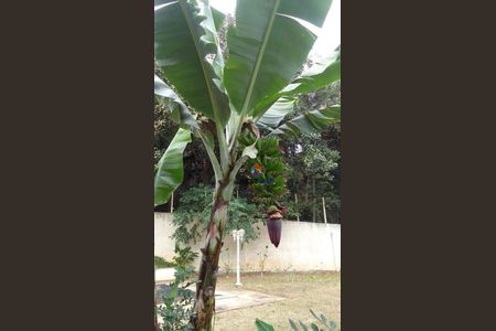 9_photo/94cfaaa2eb.7980aed8fa71c73b-ATLAS-d0000f10-9e47-41b2-aabb-52a2bb37f508.jpg de casa à venda com 4 quartos, 525m² em Vila Santo Antonio de Carapicuiba, Cotia