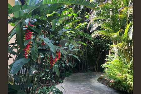 8_photo/94cfaaa3ed.494d4b1e9a15dabc-ATLAS-7fbdf8c9-68b7-49c7-8874-6b242b3e9a75.jpg de casa à venda com 4 quartos, 550m² em Vila Santo Antônio, Cotia