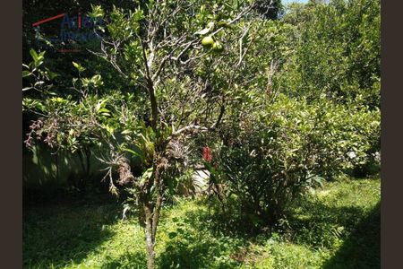 11_photo/94cfaaa54f.3661479a1a3a7969-ATLAS-734b8a2f-897f-41b3-a4b7-ff93a56e4470.jpg de casa à venda com 3 quartos, 360m² em Granja Viana, Cotia