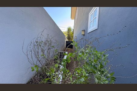 8_photo/94cfaab4a1.cdd4f02be08f0036-ATLAS-6bbcffbc-c380-49e7-be3a-c1a5732cbdb2.jpg de casa à venda com 2 quartos, 150m² em Lageadinho, Cotia