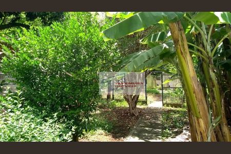 6_photo/94cfaabd29.3a37fa67e20dd3de-ATLAS-3ce70d6c-0ca5-4659-aea9-a7b4131d7694.jpg de casa à venda com 3 quartos, 131m² em Vila Santo Antônio, Cotia