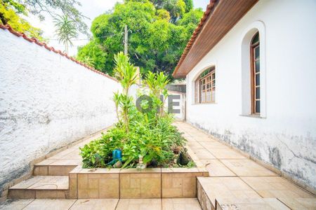 12_photo/94cfaabd61.d41ccc6539b5b4b0-ATLAS-66216e89-4caf-48f2-a6c8-f189dce99da5.jpg de casa à venda com 4 quartos, 205m² em Vila Santo Antônio, Cotia