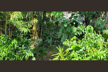 9_photo/94cfaabe8d.49e5f4e107e90c19-ATLAS-1462b319-37cc-4949-80a9-63d838098b2a.jpg de casa à venda com 4 quartos, 268m² em Vila Santo Antonio de Carapicuiba, Cotia