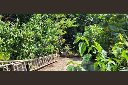 9_photo/94cfaabe8d.49e5f4e107e90c19-ATLAS-e85b6af9-c2b7-4b15-91ad-0f48ee46a482.jpg de casa à venda com 4 quartos, 268m² em Vila Santo Antonio de Carapicuiba, Cotia