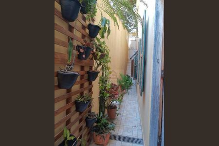 5_photo/94cfaad9c5.c06c3c5dbfc3661b-ATLAS-1b45e452-1d97-4aea-8d41-9b0244e53e0e.jpg de casa à venda com 3 quartos, 245m² em Jardim da Gloria, Cotia