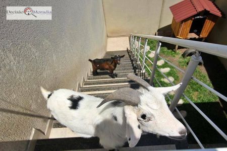 9_photo/94cfaada5b.f219a6c507a36e5d-ATLAS-521433e0-5517-4c97-b696-e50a0fbf0190.jpg de casa à venda com 3 quartos, 160m² em Jardim Barbacena, Cotia