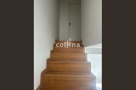 12_photo/94cfaadb97.ceff8192393c33de-ATLAS-853e9e4d-4e1f-41e7-9bdf-753f1728cc8a.jpg de casa para alugar com 0 quarto, 100m² em Chácara Canta Galo, Cotia