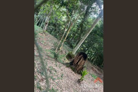 10_photo/94cfaecef3.e17343cf5b702f60-ATLAS-e08a7ae5-9db6-48fc-8e1a-9d104a10dc9b.jpg de casa à venda com 2 quartos, m² em Jardim das Cerejeiras, Cotia