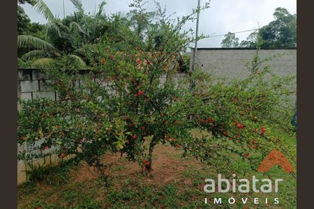 2_photo/94cfaed04d.6b2453e70642c87c-ATLAS-12b466c7-d21d-4a5d-ae93-a47ce2eaf8f6.jpg de casa à venda com 2 quartos, 470m² em Jardim das Cerejeiras, Cotia