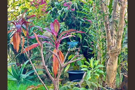 12_photo/94d1fe01fd.adbb37f92a381176-ATLAS-672bb977-e489-4174-a38a-ca81f7e9c7b7.jpg de casa à venda com 4 quartos, 250m² em Vila Santa Rosa, Guarujá