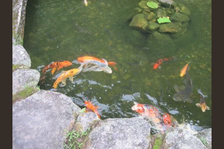 26_photo/94d1fe28f7.905d7f4245edae06-ATLAS-00a65094-4b8a-40b8-b893-444b03307539.jpg de casa à venda com 4 quartos, 500m² em Vila Maia, Guarujá