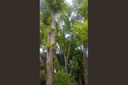 10_photo/94dce148d9.ae537c11cfa6cc3a-ATLAS-6e646d72-9a34-4087-8e2d-fd6f80c2d842.jpg de casa à venda com 3 quartos, 120m² em Pilarzinho, Curitiba