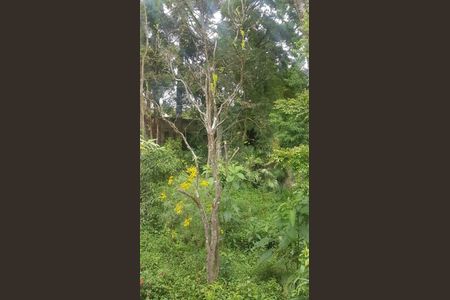 28_photo/94dce148d9.ae537c11cfa6cc3a-ATLAS-dfaebd6b-4f8c-4928-8a65-75757cc14577.jpg de casa à venda com 3 quartos, 120m² em Pilarzinho, Curitiba