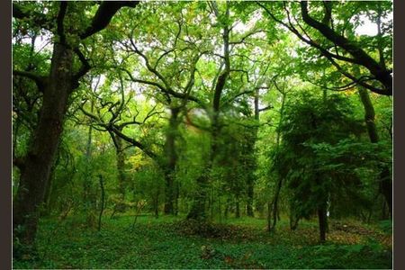 11_photo/94dce159ed.6514c86172a8c2ec-ATLAS-b286a69d-8a1e-4004-87ff-dcb4c73d85b1.jpg de apartamento à venda com 2 quartos, 54m² em Vista Alegre, Curitiba