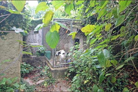 42_photo/94dce1900b.372e80069e08d6c9-ATLAS-aaffbbb2-c644-4cca-90f2-dca93e44244f.jpg de casa para alugar com 4 quartos, 231m² em Santo Inácio, Curitiba