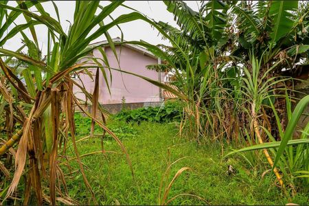 24_photo/94dce196af.48d762983a57b806-ATLAS-b4a6f120-7e05-4eec-aaea-9d838e67fc48.jpg de casa à venda com 4 quartos, 150m² em São Braz, Curitiba