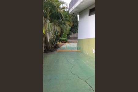 9_photo/94dce1b547.53be274a3451d2f7-ATLAS-314fa931-cf7c-4ba9-9f9c-ce5cd3afd98f.jpg de apartamento para alugar com 3 quartos, 220m² em Butiatuvinha, Curitiba