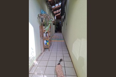 5_photo/94dce1c61d.f9fd596f8c1c84e9-ATLAS-1e0ca657-5baf-4261-8fd5-44fe036481f4.jpg de casa à venda com 4 quartos, 230m² em São Braz, Curitiba