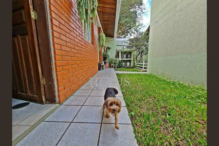 28_photo/94dce1c61d.f9fd596f8c1c84e9-ATLAS-edbb0f29-9d7e-4e79-ba9f-84bbd401042c.jpg de casa à venda com 4 quartos, 200m² em São Braz, Curitiba