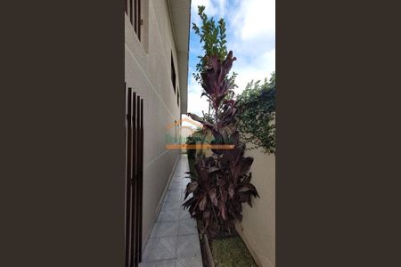 5_photo/94dce1ed59.9845a183adc4e21d-ATLAS-be35e8ec-d7d1-4b14-869c-5ed8b36d3248.jpg de casa para alugar com 4 quartos, 240m² em Santo Inácio, Curitiba