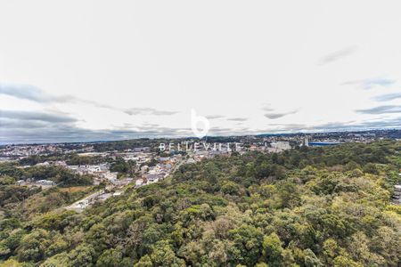 5_photo/94dce22c03.5f2708237f88e21f-ATLAS-9a7cc0ff-eb3d-499a-bb01-b2d28606df30.jpg de apartamento para alugar com 4 quartos, 282m² em Campina do Siqueira, Curitiba