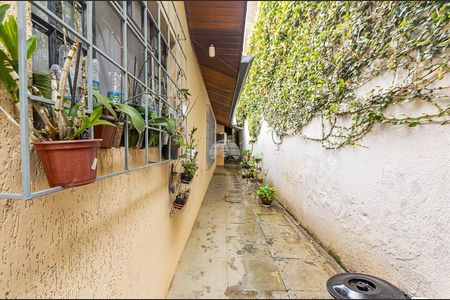 8_photo/94dce23257.1e9d1ba85beb8478-ATLAS-5213d907-9107-4427-bfe5-e725f7a8efdf.jpg de casa à venda com 7 quartos, 167m² em Mossunguê, Curitiba