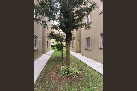 46_photo/94dce24ffb.a6bc60c9ea2081d7-ATLAS-ffd9c4f0-0226-4181-b7cc-c99cf1ff6f59.jpg de apartamento à venda com 3 quartos, 49m² em Campo Comprido, Curitiba