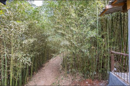 31_photo/94dce25e0f.62588352f0161563-ATLAS-e8e1296a-43c9-46d5-a838-d4d500b8d00e.jpg de apartamento à venda com 3 quartos, 53m² em Fazendinha, Curitiba