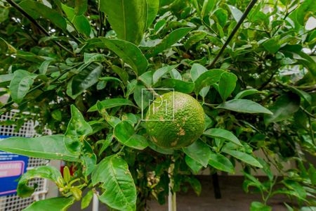 8_photo/94dce311d7.1463d70521bc8e9f-ATLAS-c0d75794-fee6-4d3b-a293-6bf06c17e48b.jpg de casa à venda com 4 quartos, 420m² em Portão, Curitiba