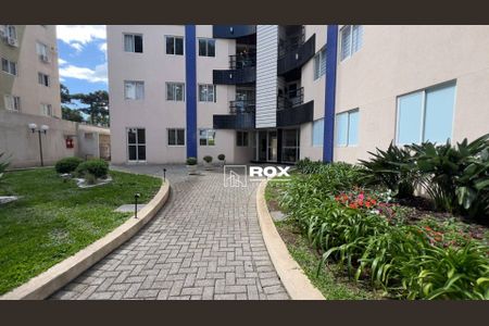 12_photo/94dce3536b.4e5bf86551ed6bfc-ATLAS-7bf8e0ba-bb34-4f58-b231-0f67ddb0015e.jpg de apartamento para alugar com 3 quartos, 59m² em Novo Mundo, Curitiba