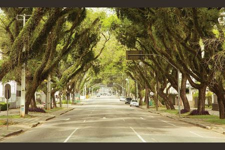 10_photo/94dce3789d.fc3124ead6c5d417-ATLAS-349462af-e944-4fe4-86ba-8a3b66b9a40e.jpg de apartamento à venda com 2 quartos, 69m² em Vila Izabel, Curitiba