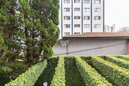 11_photo/94dce39a8b.0790d3d74948893d-ATLAS-26ec0e27-816d-453e-8e6a-ab43bb91a234.jpg de apartamento à venda com 4 quartos, 216m² em Seminário, Curitiba