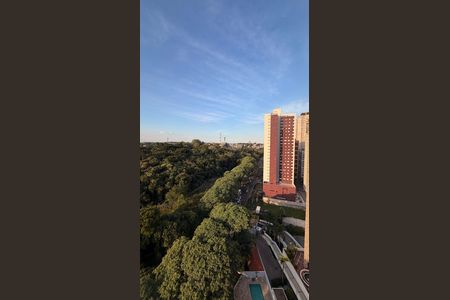 13_photo/94dce3b8f9.137a1e308c82b0de-ATLAS-92a7199e-a1e1-4e83-ba5c-7cce93ca49f4.jpg de apartamento para alugar com 1 quarto, 55m² em Seminário, Curitiba