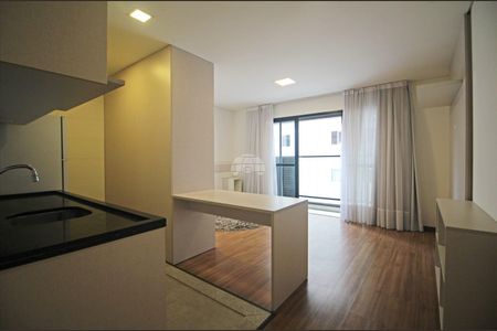 10_photo/94dce3c3cb.ce2d6558c3d8b826-ATLAS-96bc763f-4c44-44d9-af6e-993ef85e2a4f.jpg de apartamento para alugar com 1 quarto, 45m² em Campina do Siqueira, Curitiba