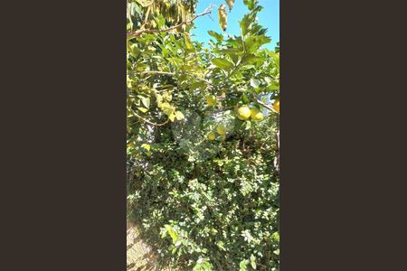 11_photo/94dce3cd19.f14d7a494a64fc38-ATLAS-8df67ab8-bb32-4adb-9b8c-6e3f08907e47.jpg de casa à venda com 4 quartos, 216m² em Mossunguê, Curitiba