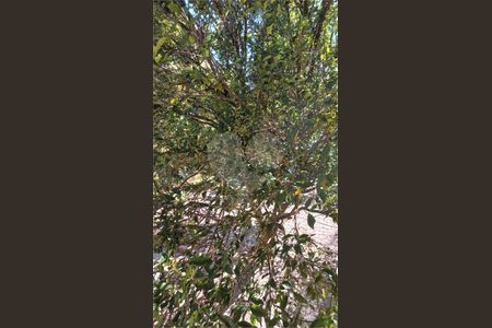 12_photo/94dce3cd19.f14d7a494a64fc38-ATLAS-95cf17c8-a965-4dee-8ac9-4605dcc83a84.jpg de casa à venda com 4 quartos, 216m² em Mossunguê, Curitiba