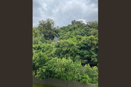 4_photo/94dce3cf27.c7a4ec1db9f03fd3-ATLAS-1159ec5a-26ac-41a2-9e6a-ce91e1660b27.jpg de apartamento para alugar com 2 quartos, m² em Campina do Siqueira, Curitiba