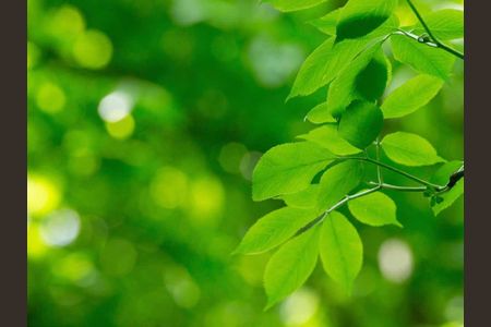 31_photo/94dce3d197.86372ecfc368d1f5-ATLAS-d4e6ea79-204b-400a-b01e-ee3eafc2214b.jpg de apartamento à venda com 3 quartos, 229m² em Mossunguê, Curitiba