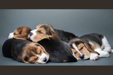 6_photo/94dce3d197.90c403527ba76e9c-ATLAS-6ea9c70e-e5d0-4d01-ac56-71a11c7e9883.jpg de apartamento à venda com 3 quartos, 203m² em Mossunguê, Curitiba