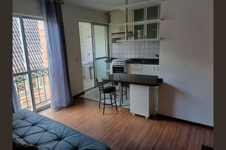 8_photo/94dce40eef.8406d85b1cc03178-ATLAS-3b255172-a2ea-493f-9f3a-c006fd1c1a90.jpg de apartamento para alugar com 1 quarto, 52m² em São Francisco, Curitiba