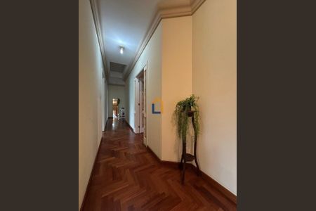 3_photo/94dce43b73.41e2b3522e817a70-ATLAS-14131d1b-bbab-4bc8-ae59-dcb224837b50.jpg de casa para alugar com 3 quartos, 426m² em Juvevê, Curitiba