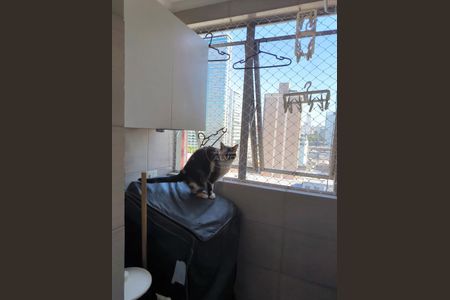 12_photo/94dce44307.5a687f59c916c2a0-ATLAS-bb048ca3-80b6-4cd7-8c21-3d8104e6b00a.jpg de apartamento à venda com 1 quarto, 31m² em Centro, Curitiba