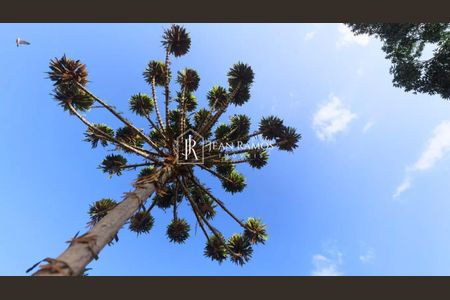 11_photo/94dce446c5.23351eba74f1df34-ATLAS-e40f8f00-47d2-4a0d-a62f-aa8aec4e6a4b.jpg de casa à venda com 3 quartos, 204m² em Alto da XV, Curitiba