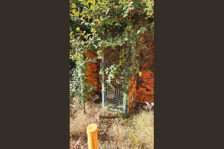 2_photo/94dce450ad.5343c4ed08aabd0a-ATLAS-148eecb2-5add-48a2-85e3-dfcb20aa780a.jpg de casa para alugar com 0 quarto, 135m² em Jardim Botânico, Curitiba