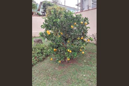 12_photo/94dce46da9.08f922be3a726ba4-ATLAS-7ba2de2b-5d65-4a99-a491-2c232a5677c6.jpg de casa à venda com 3 quartos, 145m² em Centro, Curitiba