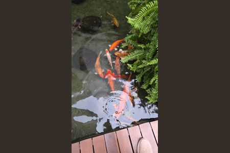 3_photo/94dce47147.b60a63e3dda092e8-ATLAS-a48ff7ac-e970-4cdd-87ca-f2c6a670872b.jpg de apartamento à venda com 2 quartos, 70m² em Centro, Curitiba