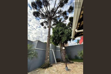 39_photo/94dce48dcd.c8c3ceaa86d4c30d-ATLAS-c0fdef57-ebee-4f0d-9359-32fc2dbf4d1e.jpg de casa à venda com 5 quartos, 560m² em Parolin, Curitiba