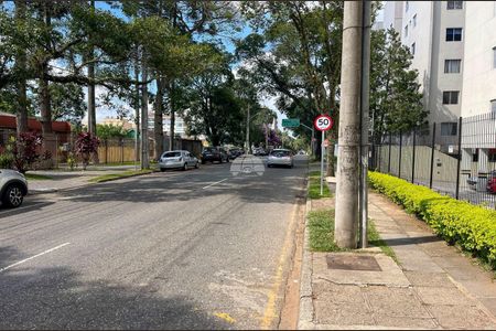 5_photo/94dce49d15.4fd6bfda49f876d9-ATLAS-48d443e7-1e78-4b75-9ec5-ce038d6623f9.jpg de apartamento para alugar com 2 quartos, 60m² em Água Verde, Curitiba