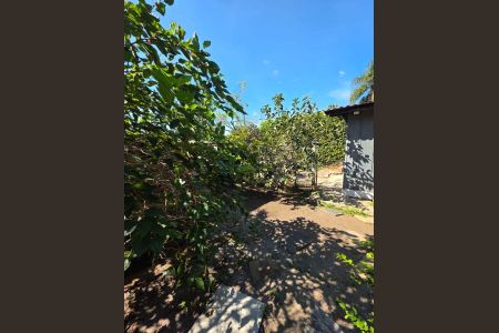23_photo/94dce4bb99.83fa443d0a3e7663-ATLAS-4a734c1d-e1a8-459b-a873-413d39aeeda4.jpg de casa para alugar com 3 quartos, 200m² em Lindoia, Curitiba