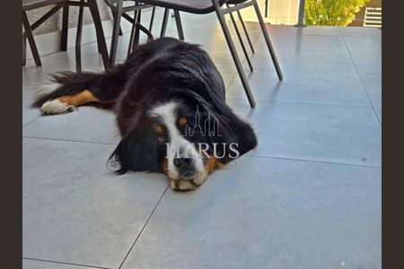 10_photo/94dce4e13d.c004be0b05d3a304-ATLAS-756fe6fe-e3a2-4bf1-a26e-2873997efda4.jpg de casa à venda com 3 quartos, 133m² em Guabirotuba, Curitiba